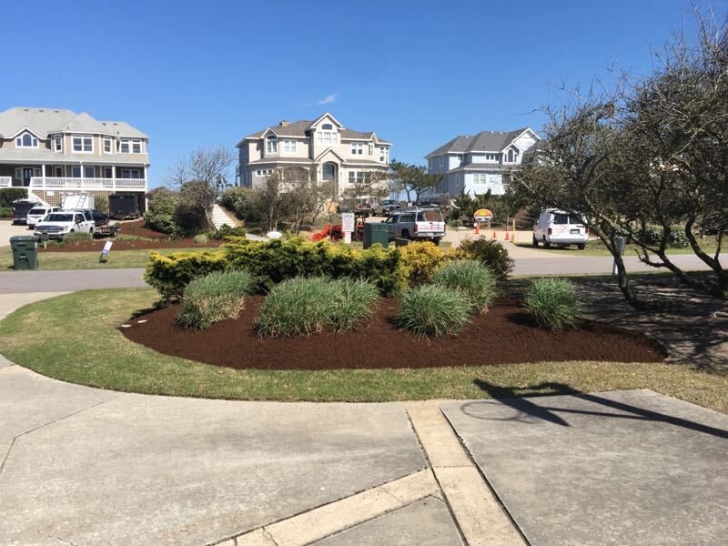 Ornamental grass and various bushes offset in a mulched garden bed.