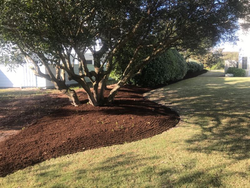 Dark brown mulch recently laid accenting the plantings.