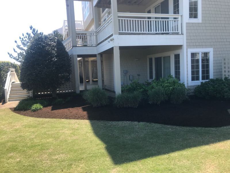 Mulched bed with various trees and ornamental grasses in a newly mulched bed.