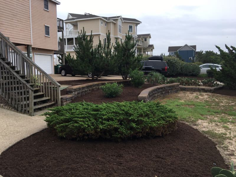 Newly laid mulch in the garden