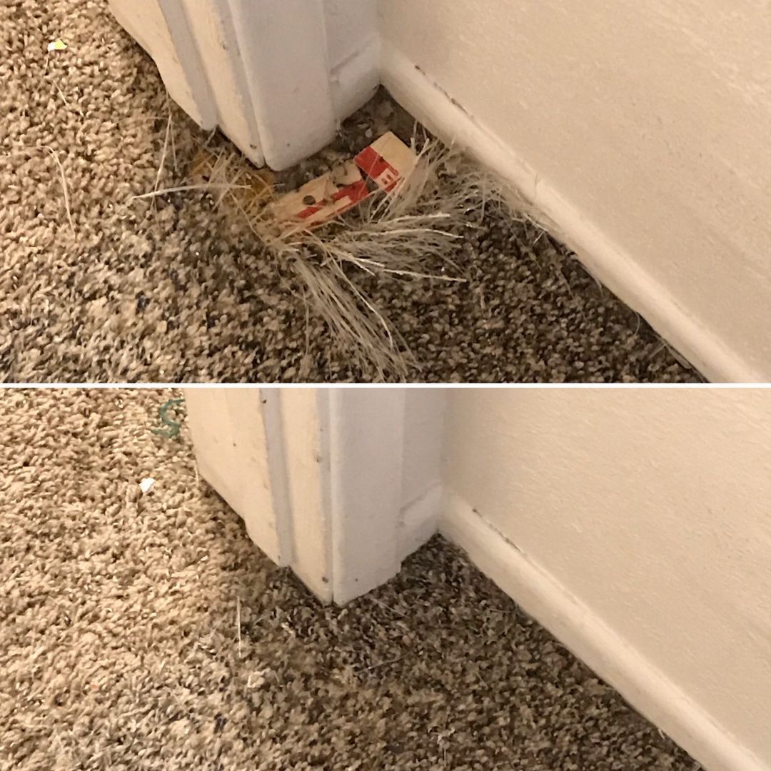 A before and after picture of a carpet being repaired.