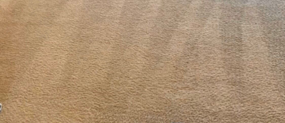 A blue fan is sitting on top of a brown carpet.