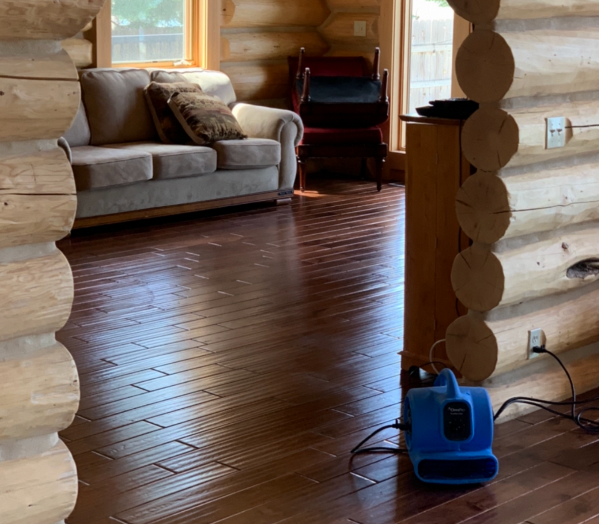 A room with a couch and chairs and a vacuum cleaner that says extreme carpet