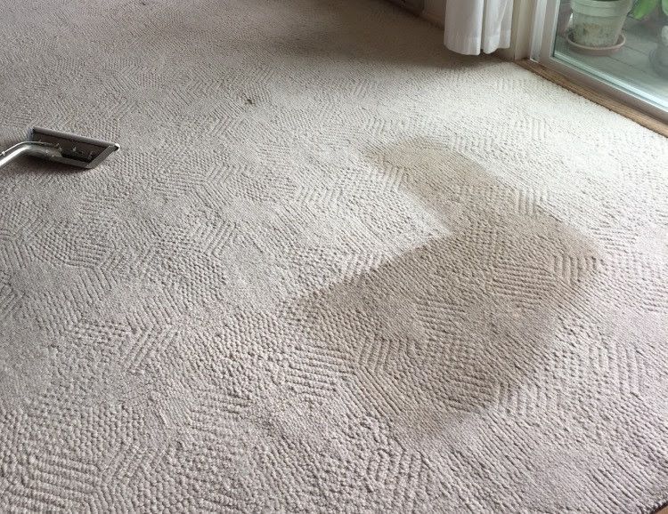 A vacuum cleaner is being used to clean a white carpet in a living room.