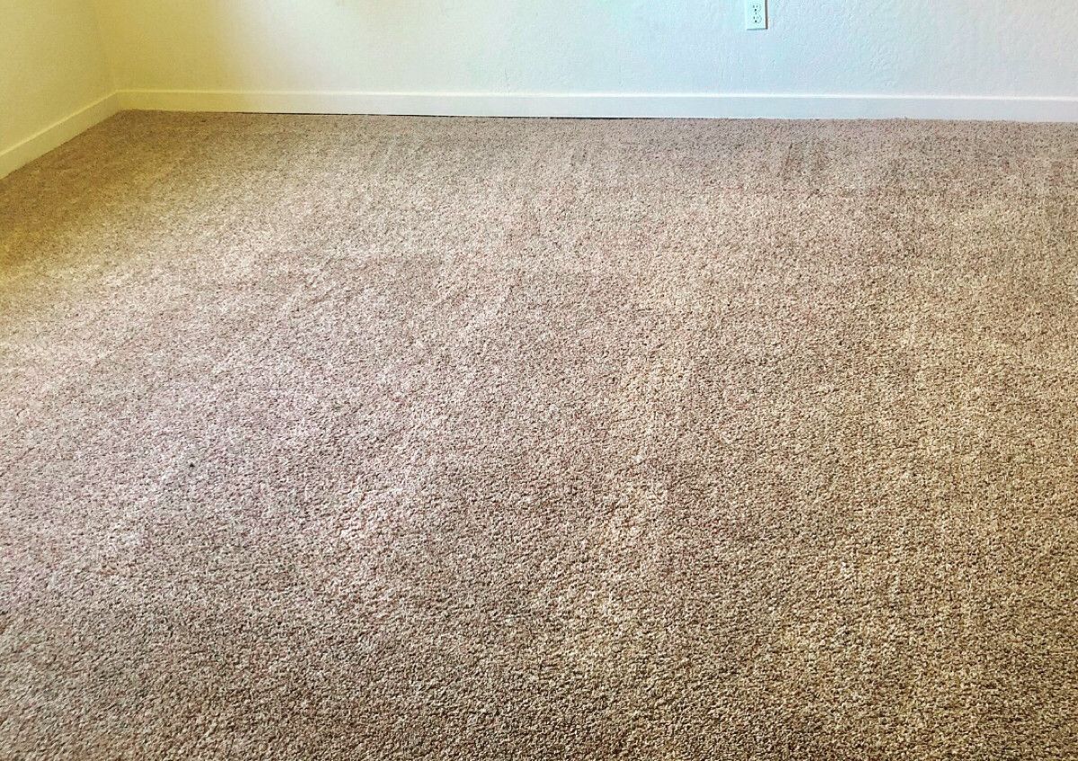 A room with a carpet and a sign that says Xtreme carpet and tile cleaning