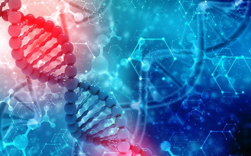 A close up of a dna strand on a blue and red background.
