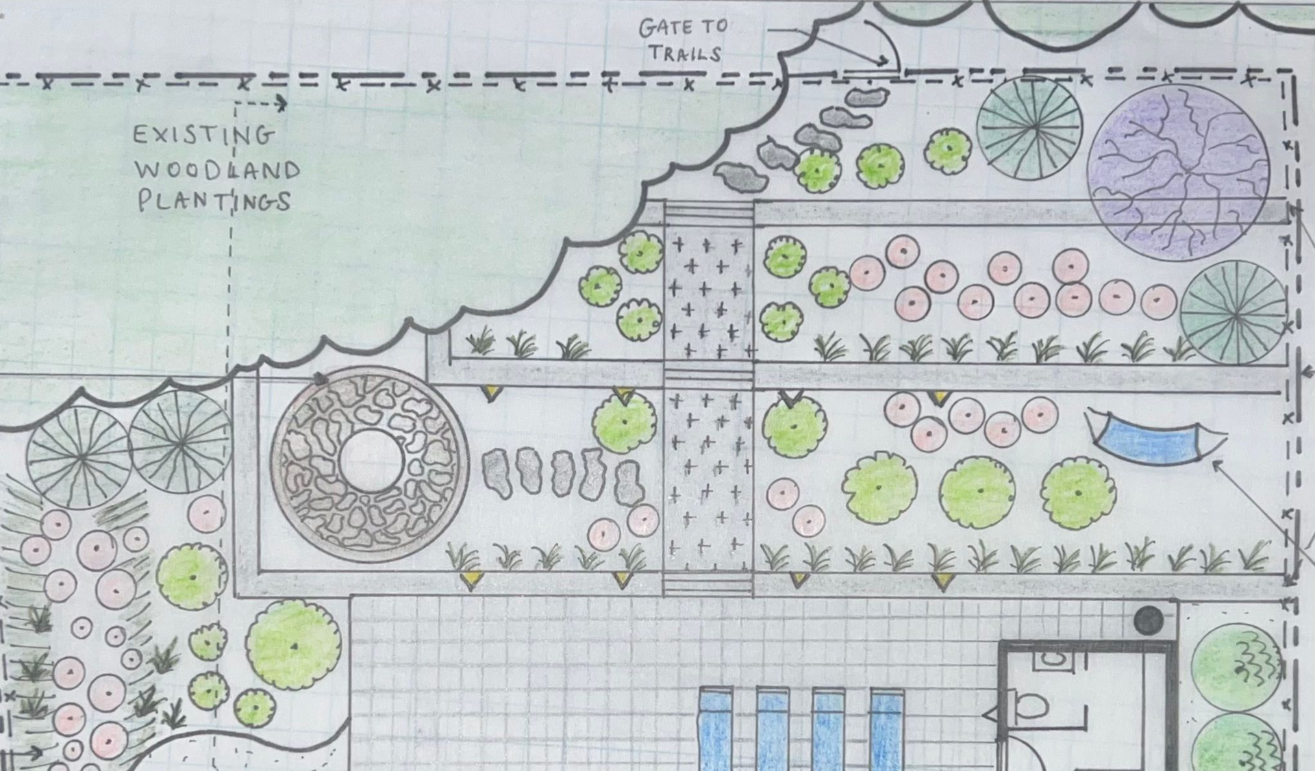 Landscape design drawing