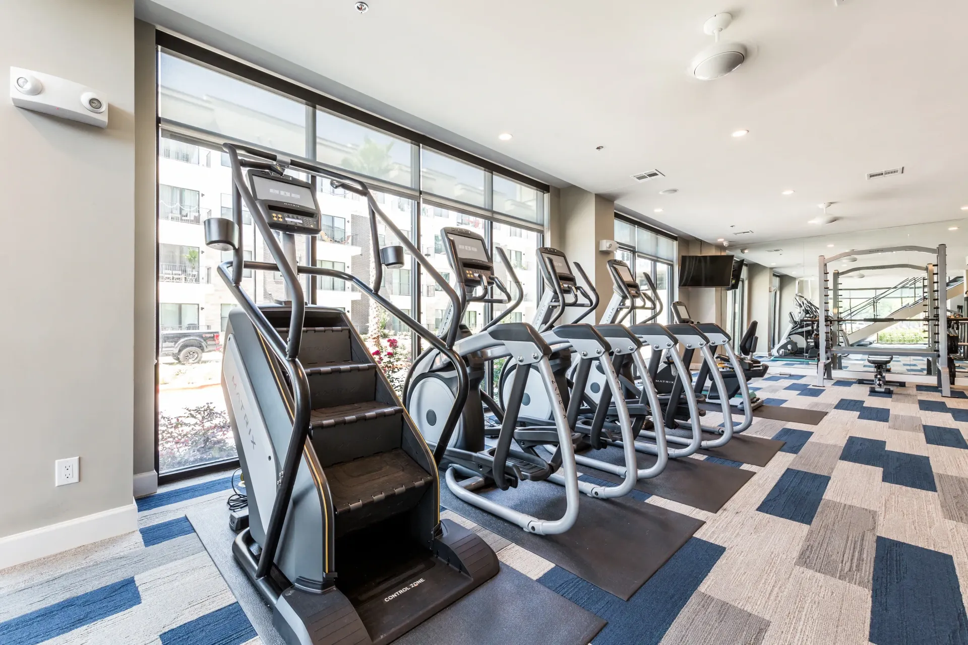 Gym with cardio machines and weight racks