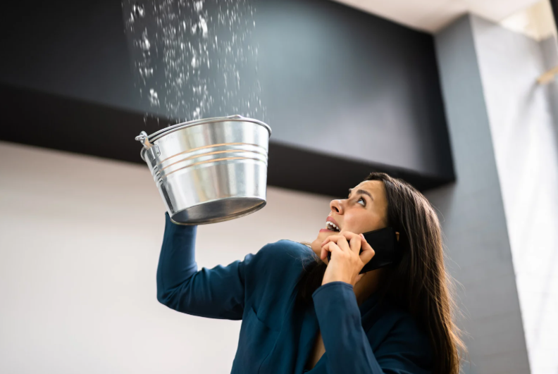 Water Damage Restoration Lisle