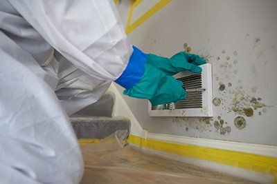 Mold Remediation