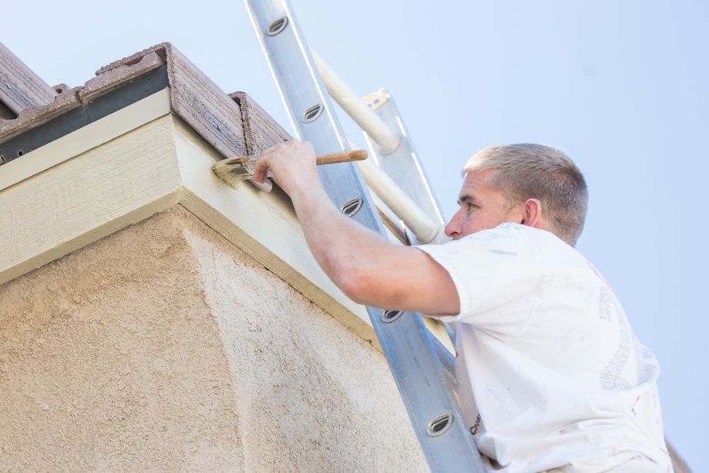 Man Painting Trim on a House While Standing on a Ladder — Jamie Frankham Painting in Ballina, NSW