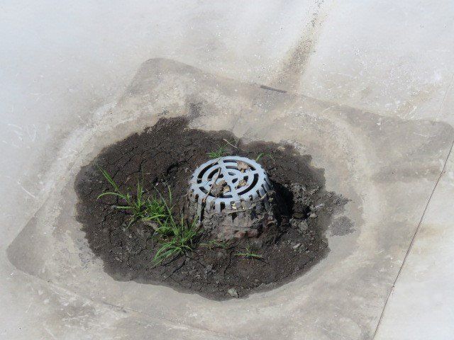 Outside Drain clogged with debris and dirt