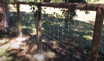Split rail fence installed to keep predators out in Cheyenne