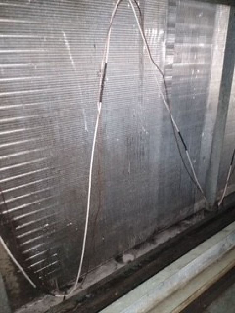 Person using a floor cleaning machine in an office. Another person cleans in the background.