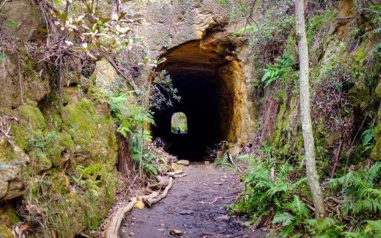 There Is A Tunnel In The Middle Of The Woods — ARK Plumbing & Gasfitting In Mittagong, NSW