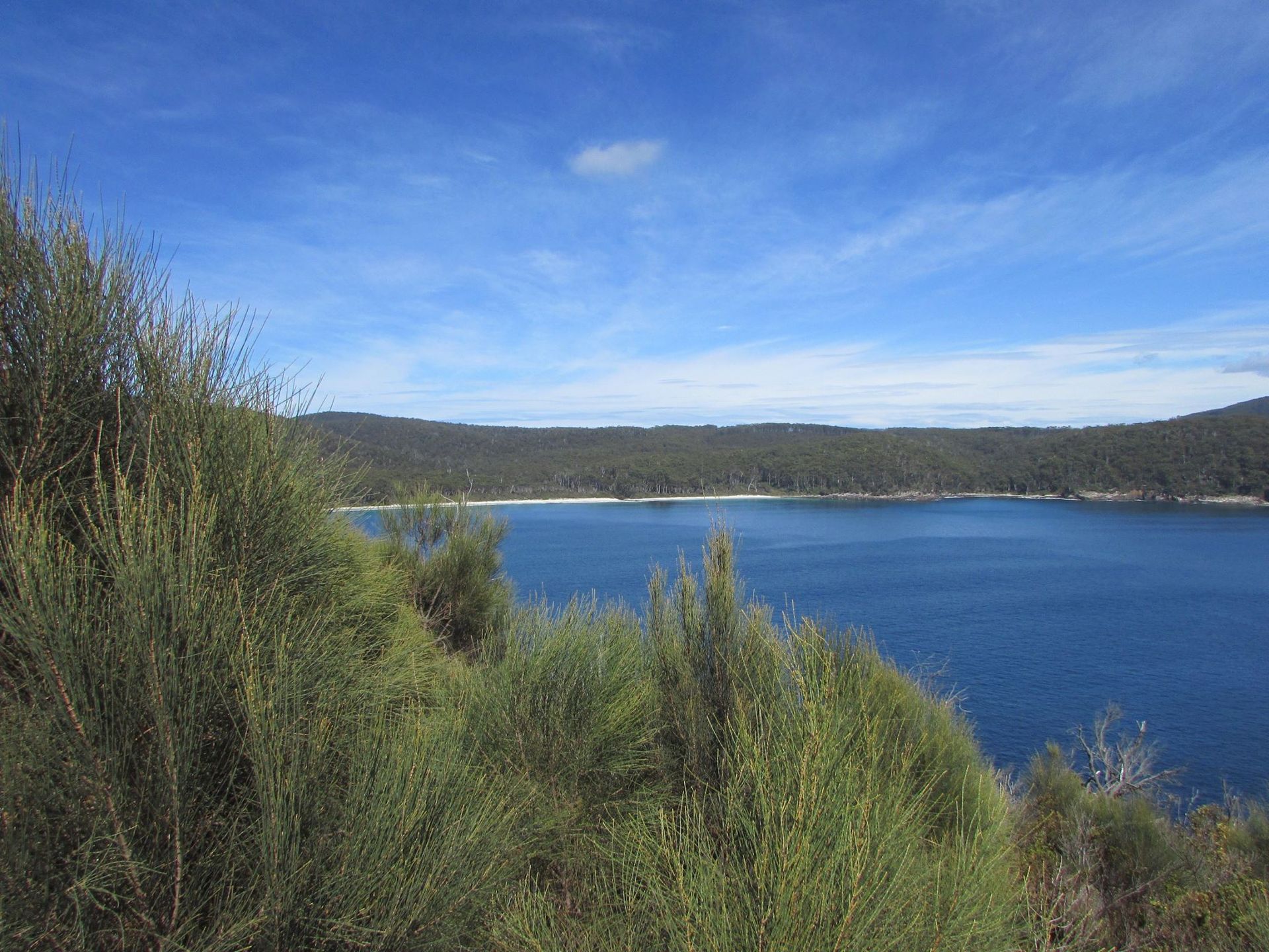 Fortescue Bay — Lenah Valley, TAS — ECOtas