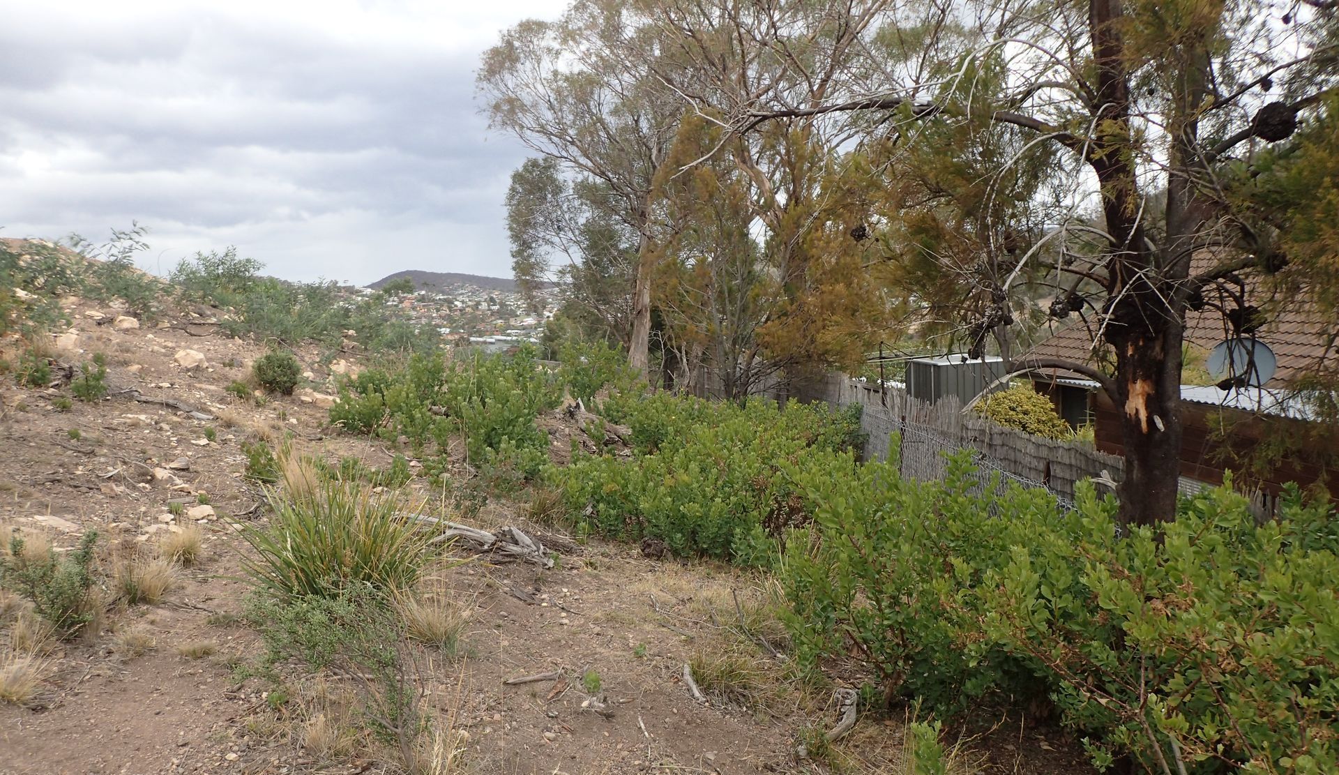 Two People in the Forest — Lenah Valley, TAS — ECOtas