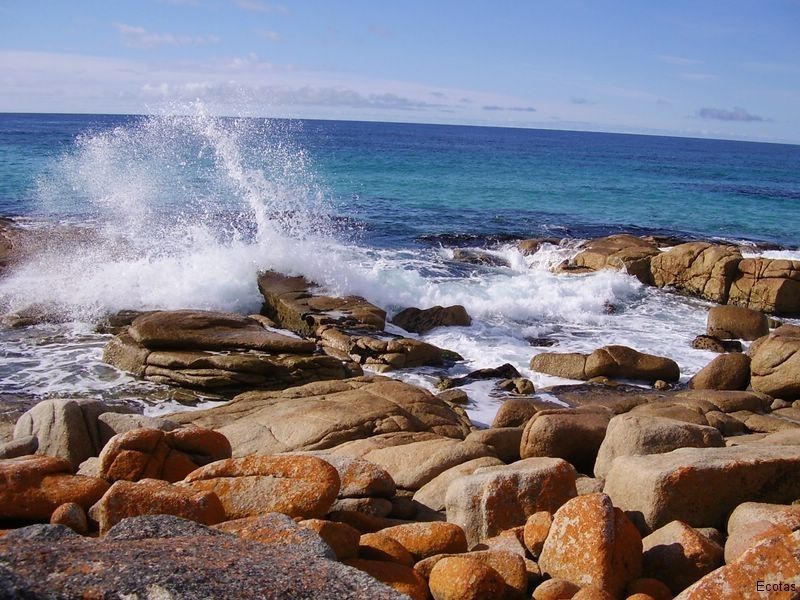 Eddystone Point — Lenah Valley, TAS — ECOtas