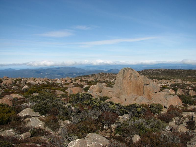 Mount Wellington — Lenah Valley, TAS — ECOtas