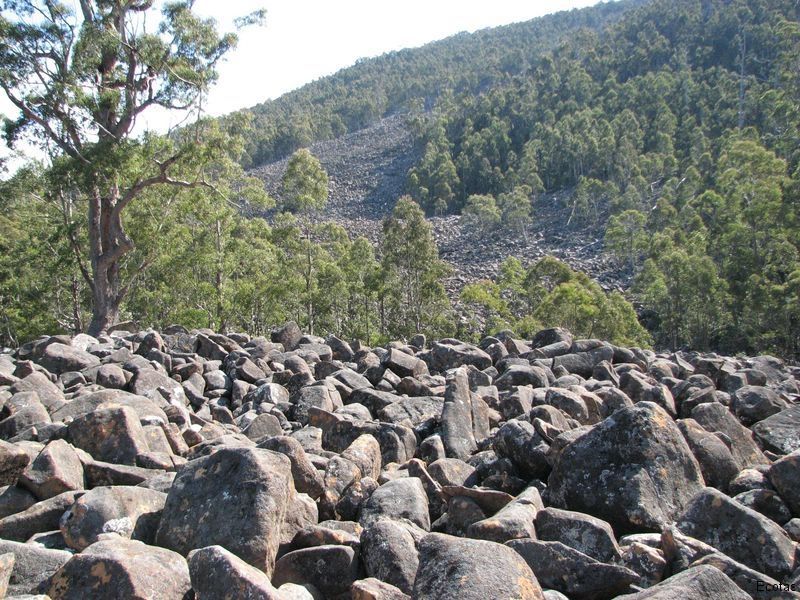 Ploughed Field — Lenah Valley, TAS — ECOtas
