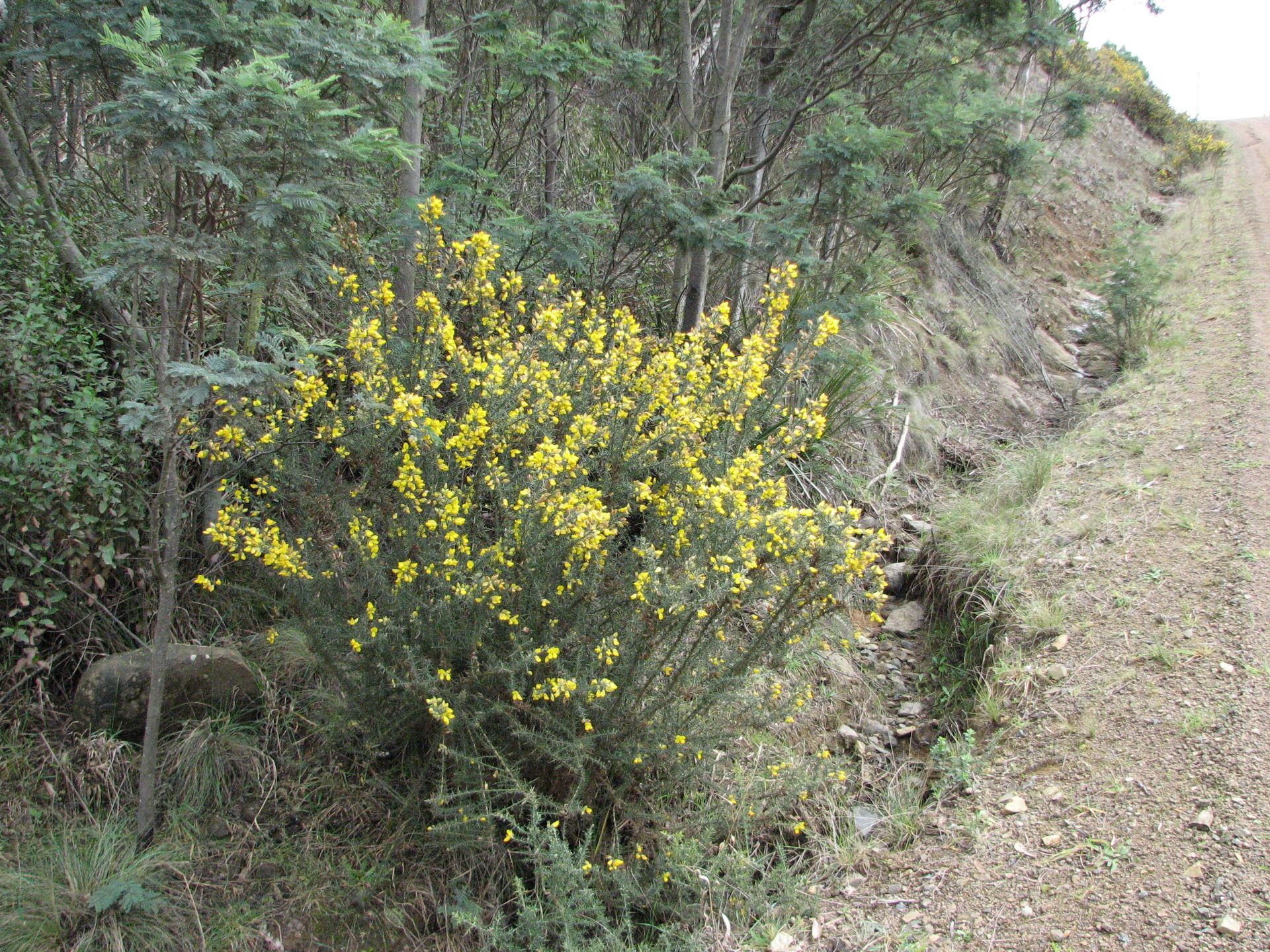 Team of Experts — Lenah Valley, TAS — ECOtas