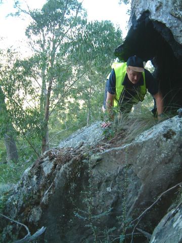 Rock Outcrops — Lenah Valley, TAS — ECOtas