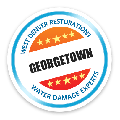 Georgetown Badge