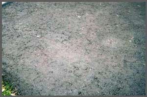 Rough Road — New Driveway Repaired in Medina, MN