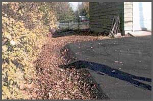 Edges  — New Road in Medina, MN
