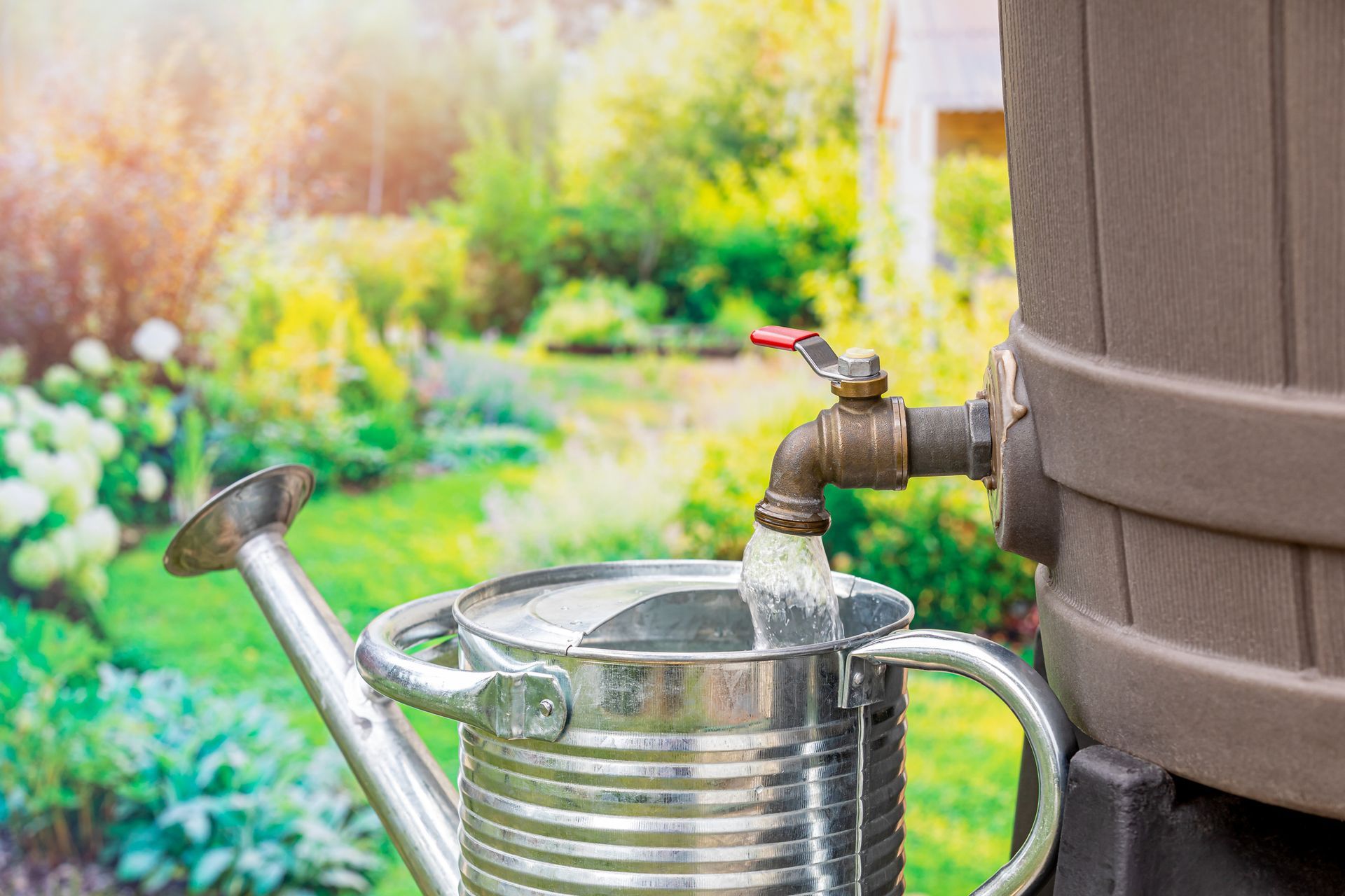 A watering can is being filled with water from a rain barrel.