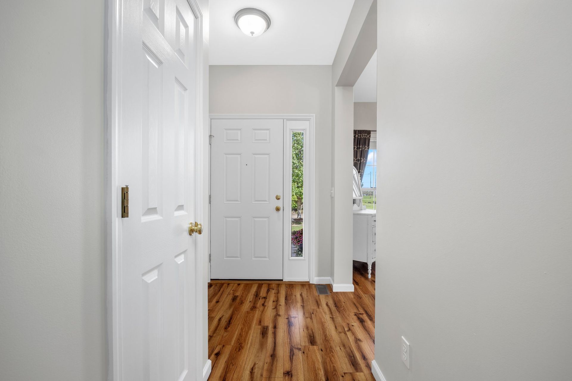 A hallway in a house with hardwood floors and a white door.