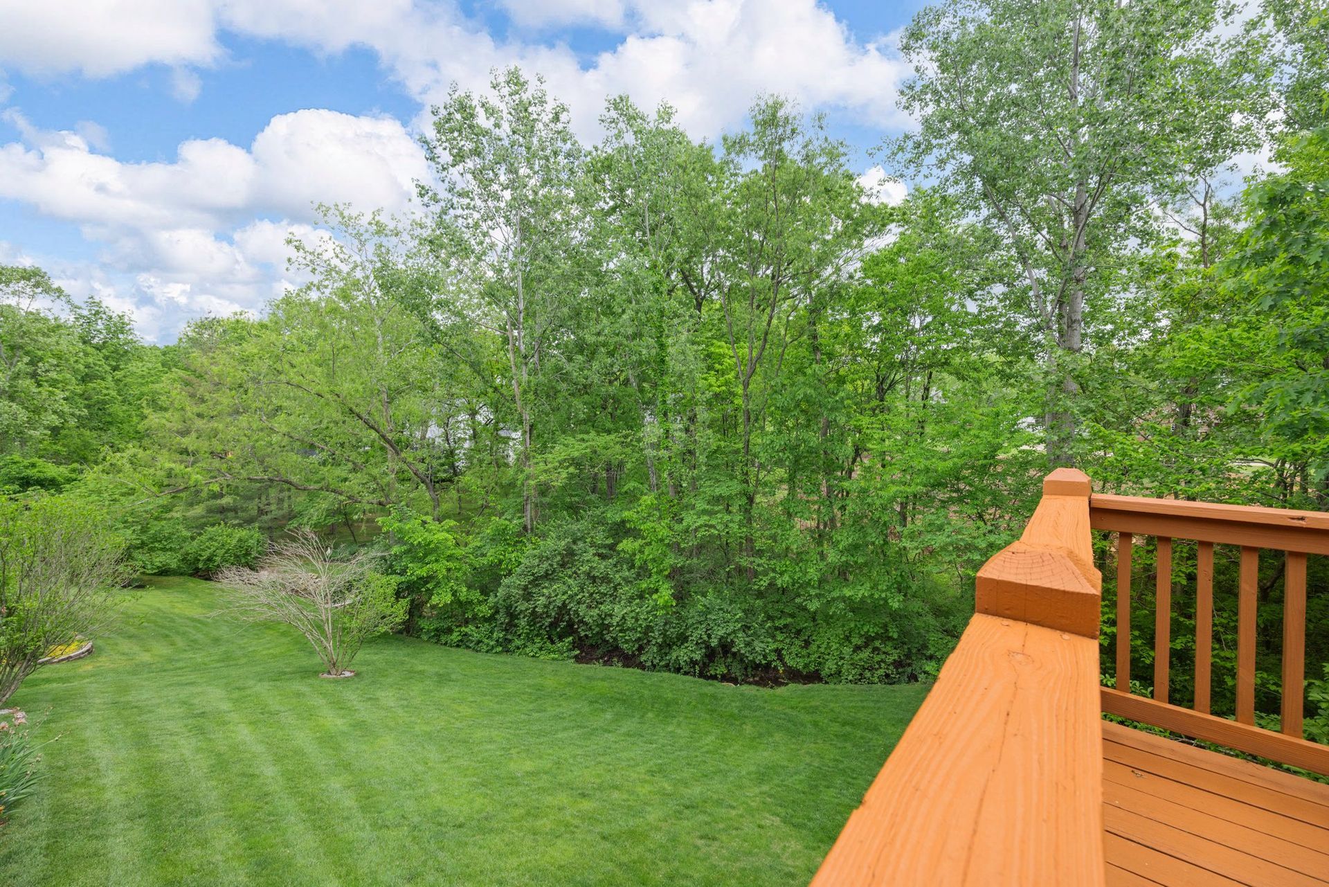 A wooden deck overlooking a lush green yard with trees in the background.