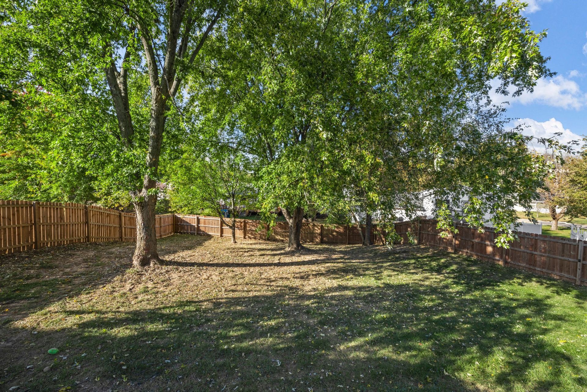 A backyard with trees and a wooden fence.