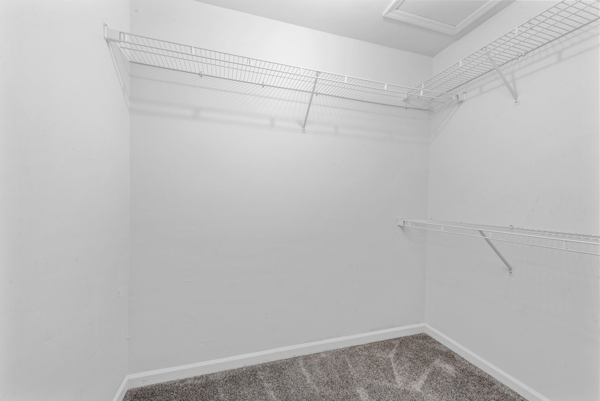 An empty walk in closet with a gray carpet and white shelves.
