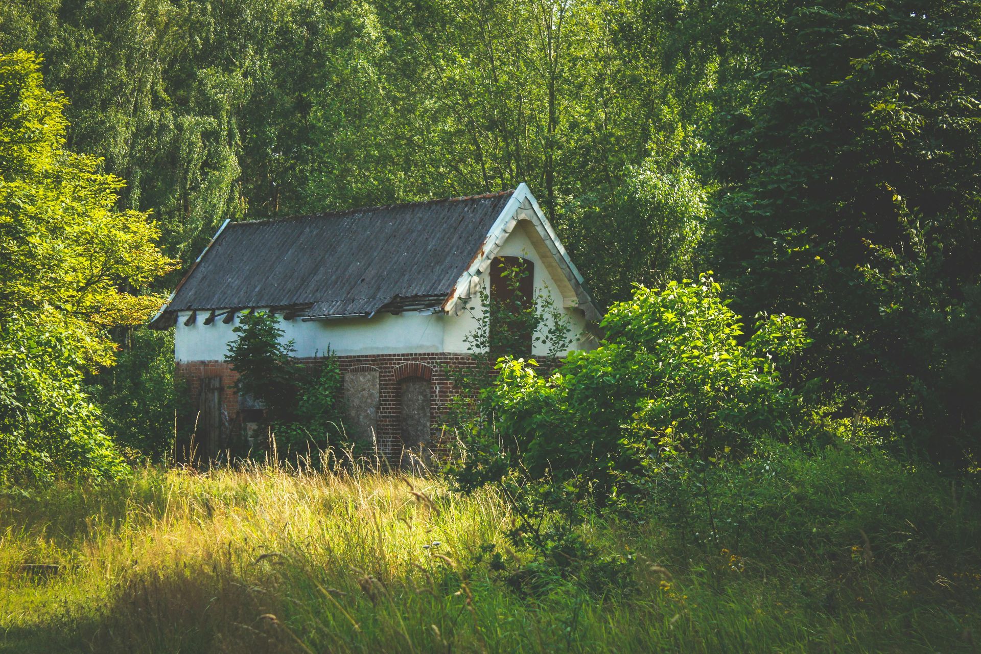 A small white house is surrounded by trees in the middle of a field. St. Charles MO