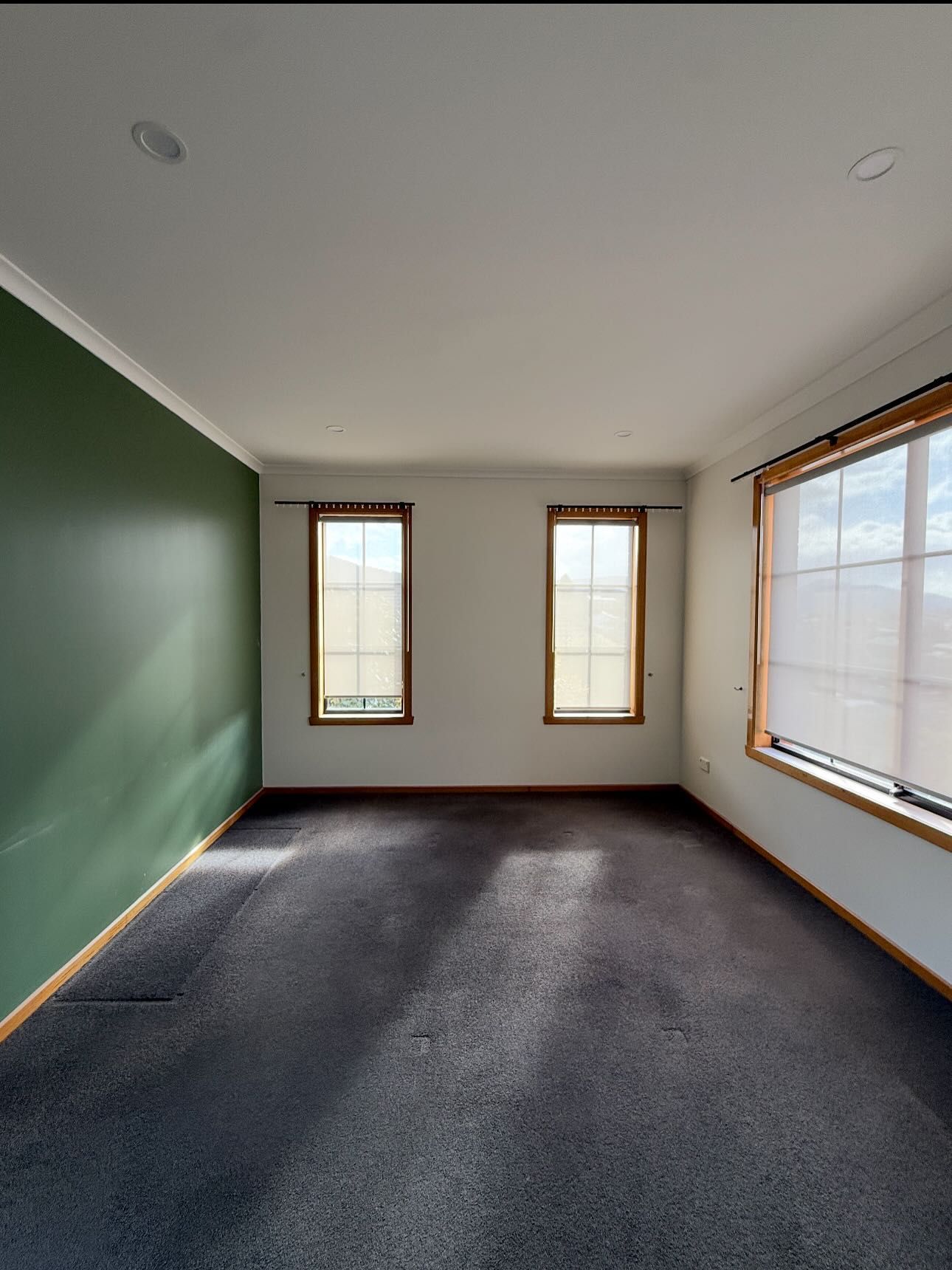 Empty room with green wall, two windows, and dark carpet.
