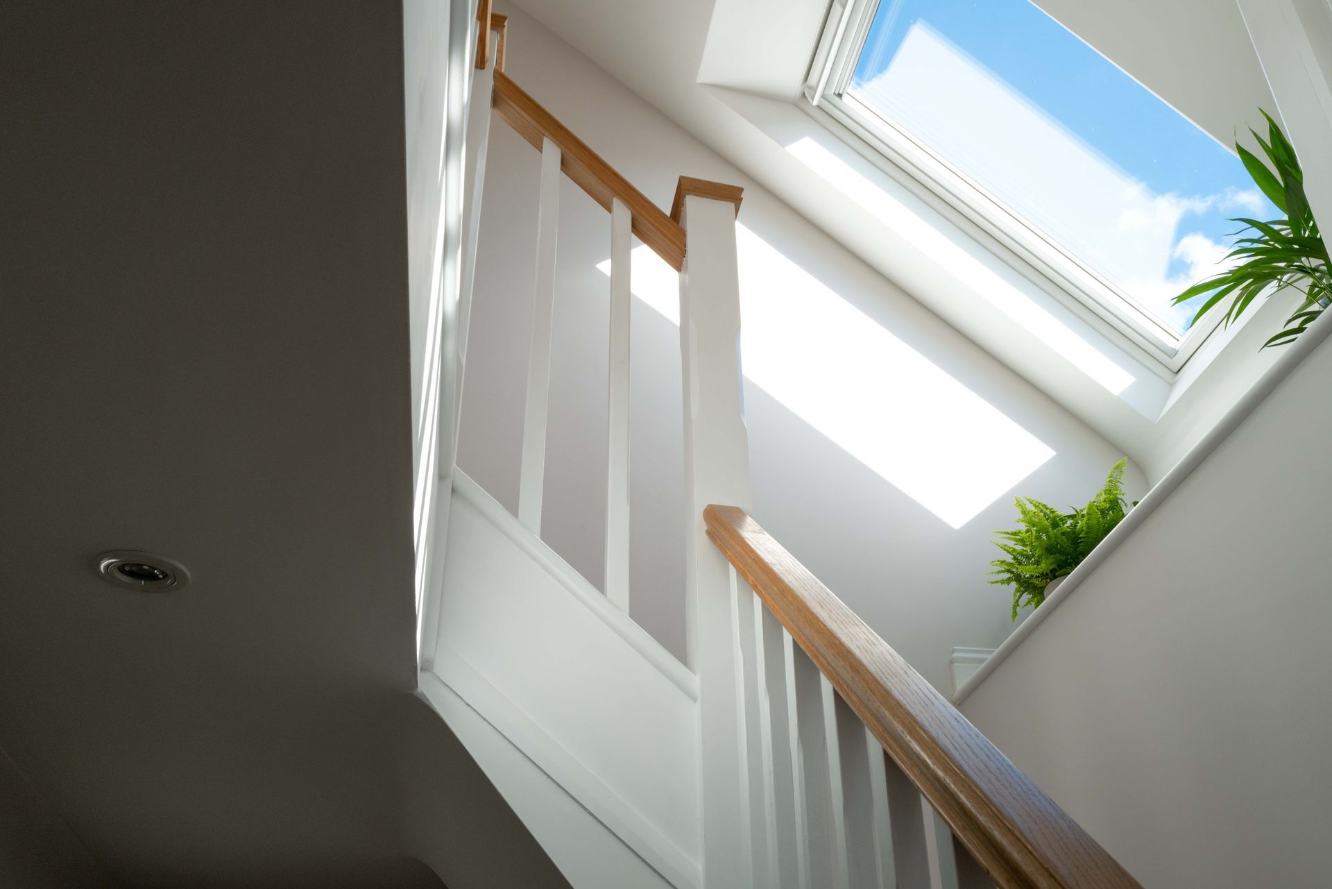 Staircase with white railing, wood handrail, and skylight showing blue sky and plants.