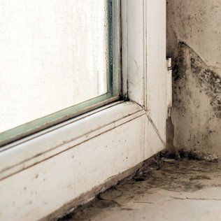 A close up of a window with mold growing on it.