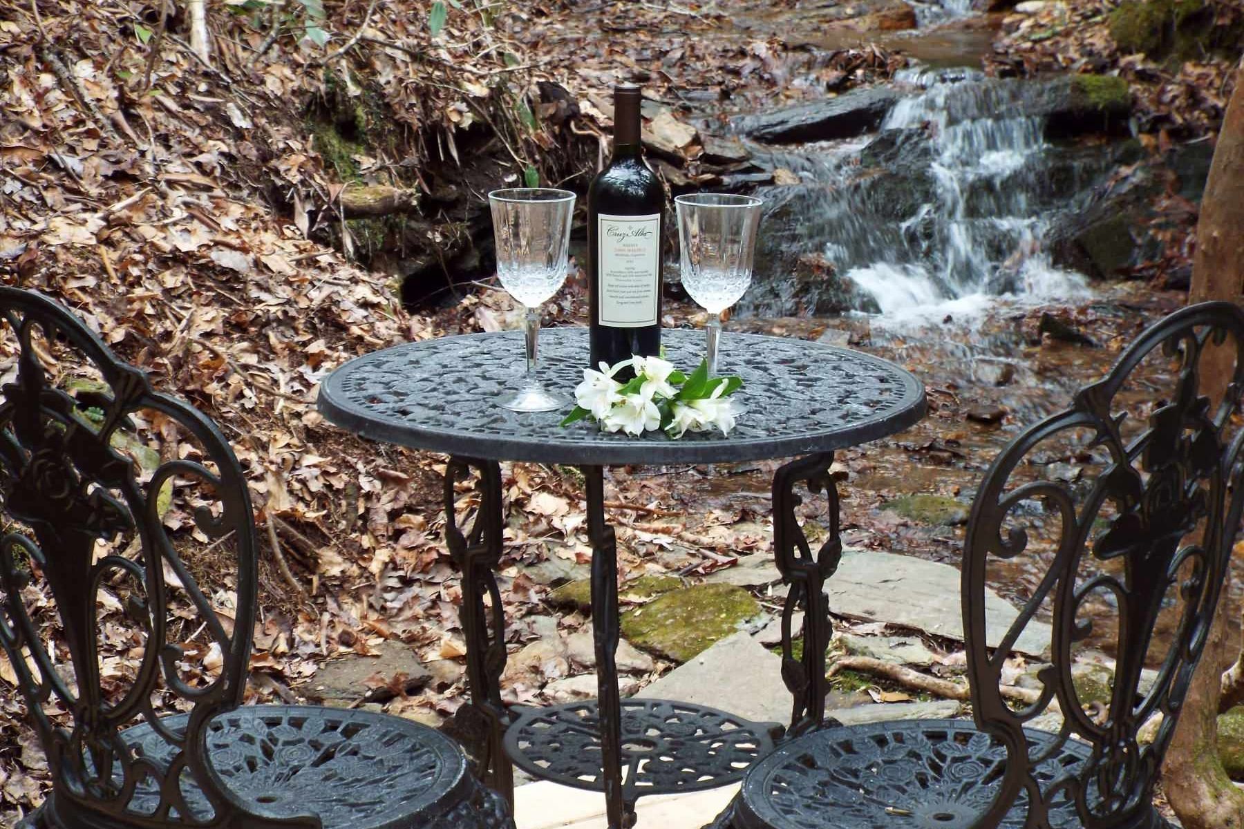 A table with a bottle of wine and two glasses on it in front of a waterfall.
