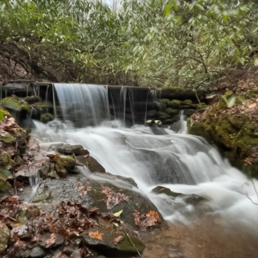 A small waterfall in the middle of a forest surrounded by trees.