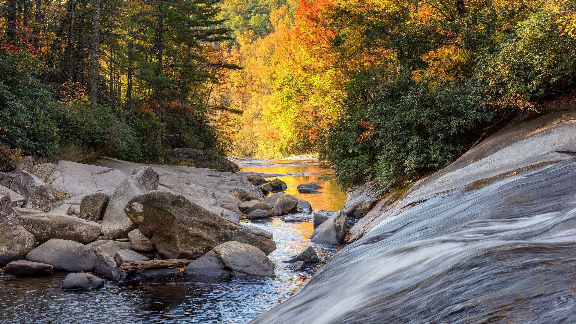 There is a waterfall in the middle of a river in the woods.