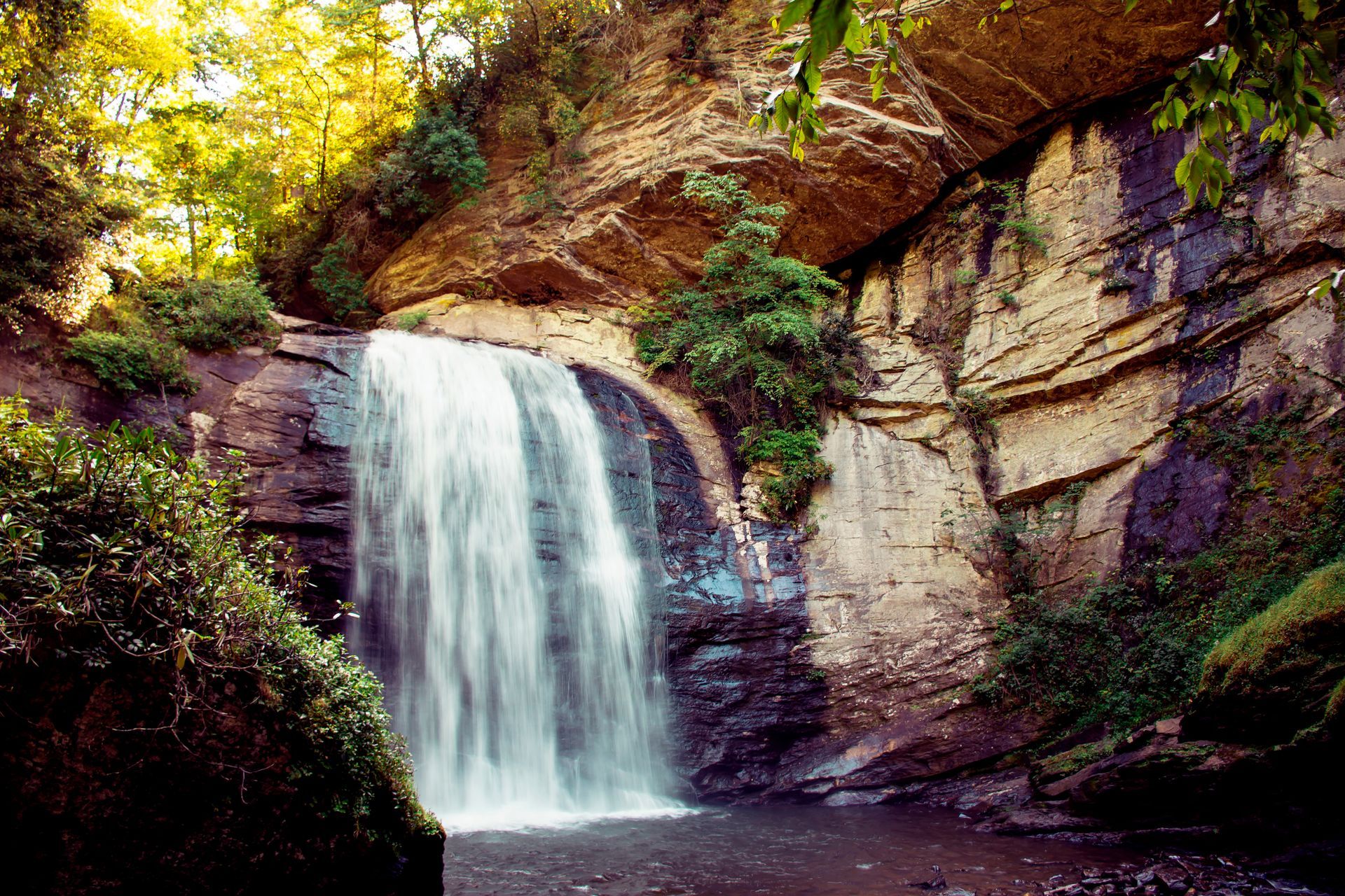 A waterfall is surrounded by trees and rocks in the middle of a forest.