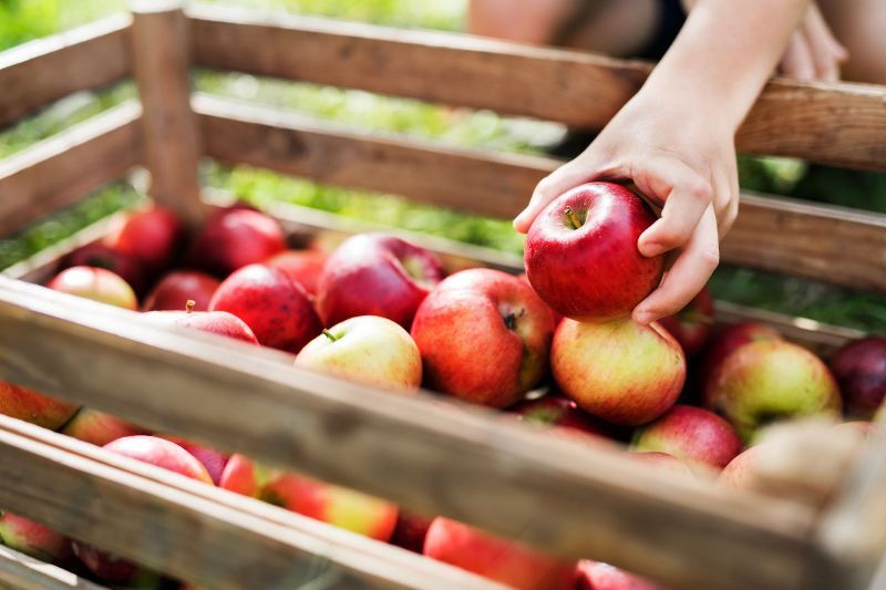 A person is picking apples from a wooden crate.