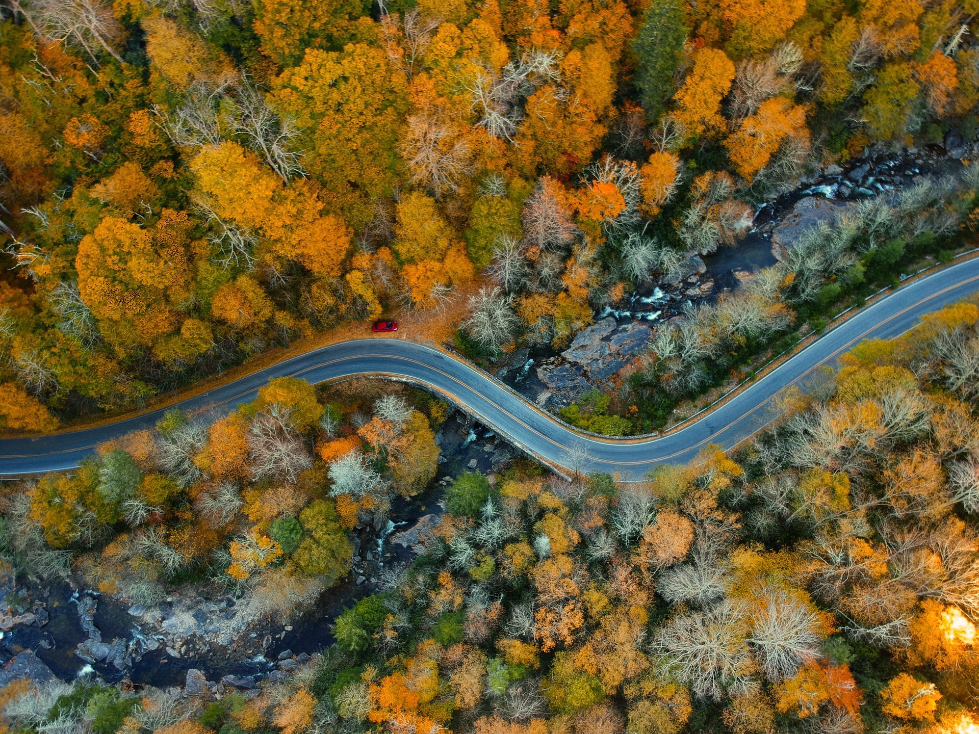 An aerial view of a road in the middle of a forest.