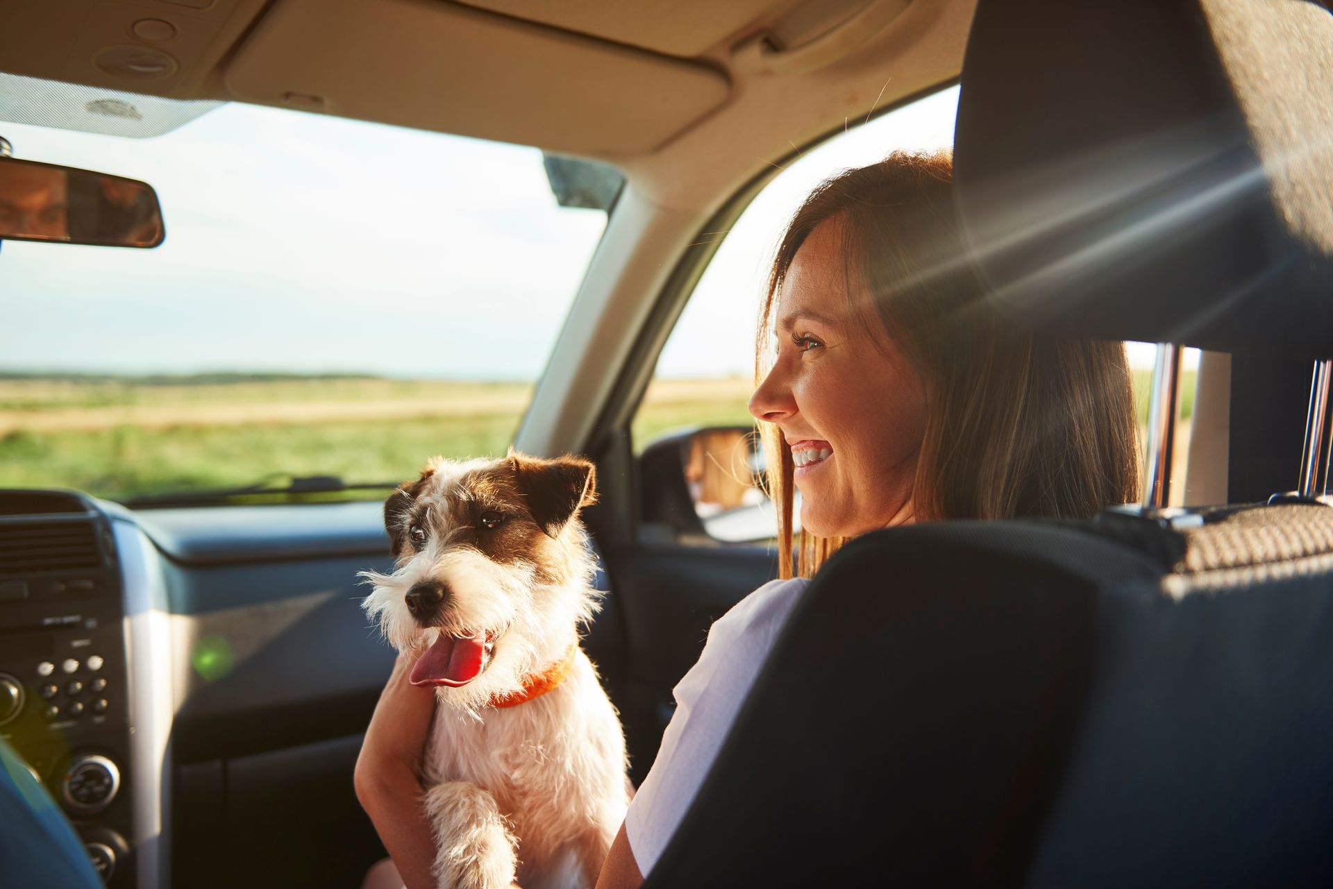 A woman is looking out of the window of a jeep.