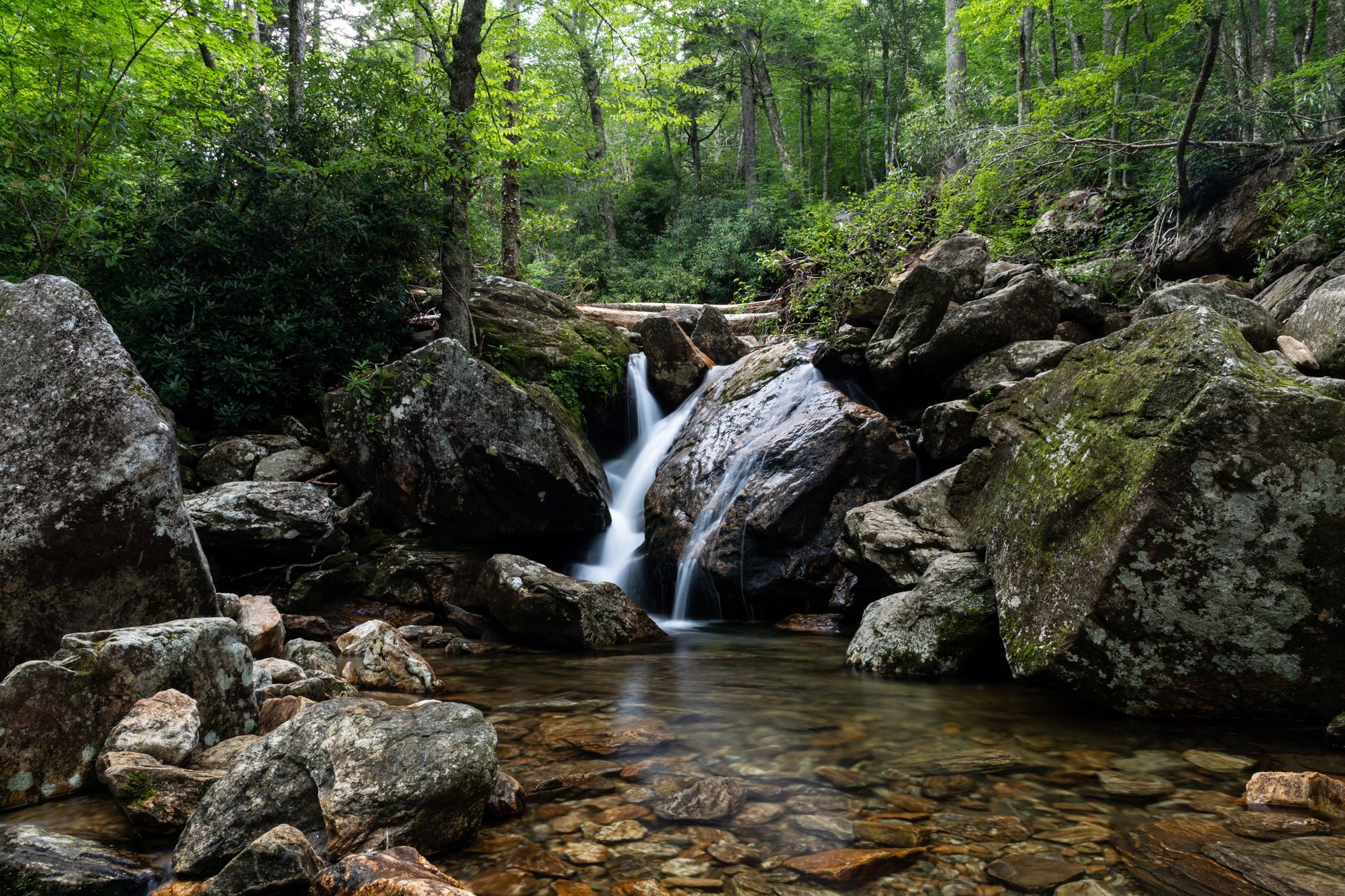 A small waterfall is surrounded by rocks and trees in the middle of a forest.
