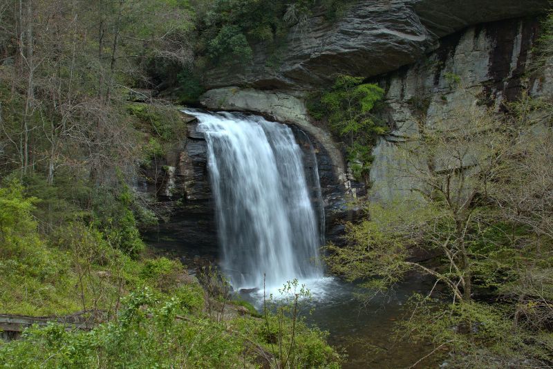 A waterfall is surrounded by trees and rocks in the middle of a forest.