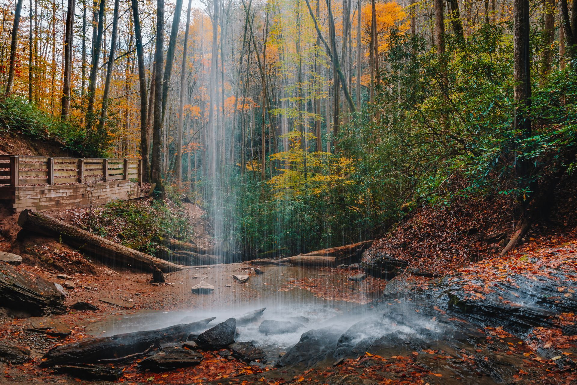 A waterfall in the middle of a forest with a bridge in the background.