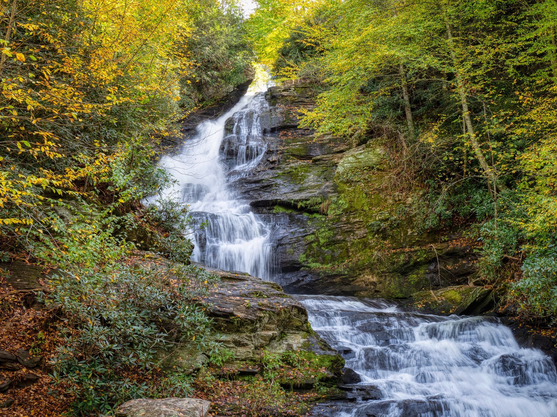 A waterfall is surrounded by trees and rocks in the middle of a forest.