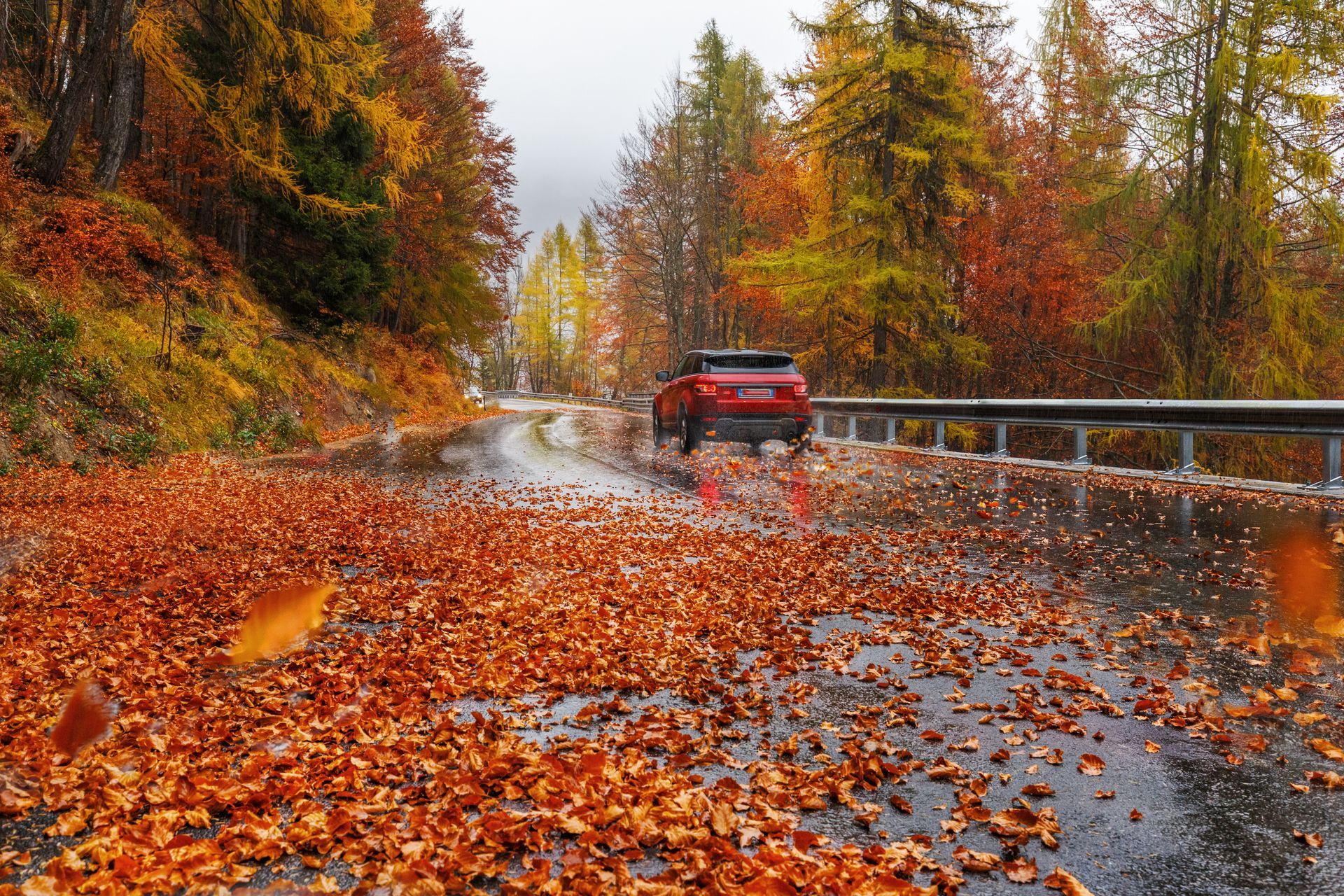 A red car is driving down a wet road covered in leaves.
